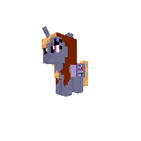 New Pony