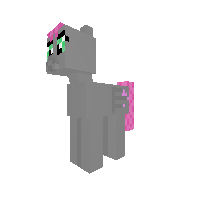 New Pony