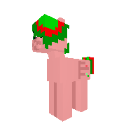 New Pony