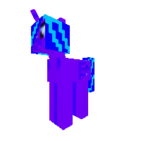 New Pony