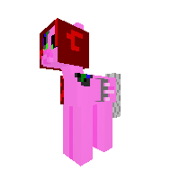 New Pony