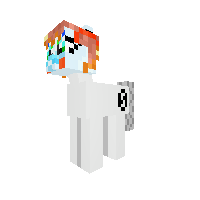 New Pony