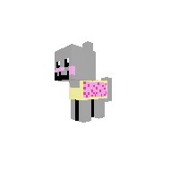 Nyan cat pony