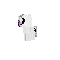 New Pony