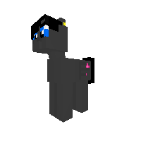 Black Bon Pony World