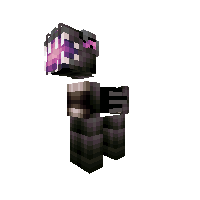 enderdragon