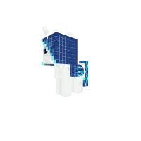 Blue_Rose