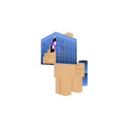 Ember ( Foal )
