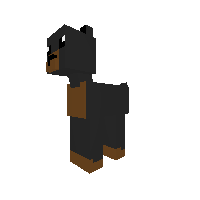 rex