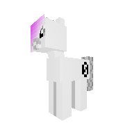 New Pony