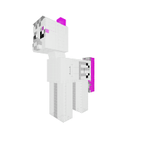 New Pony