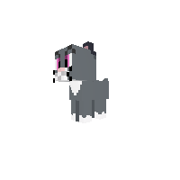 Seeeeee Cat