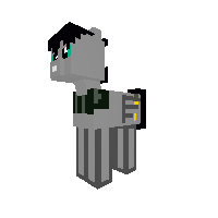 New Pony