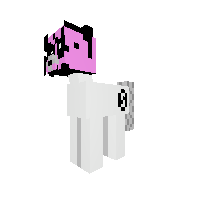 New Pony