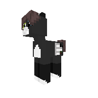 Pony gat