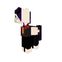 Nyphadora tonks(student and metamorpher)