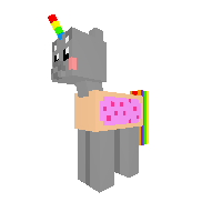 Neayn cat