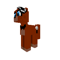 New Pony
