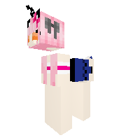 Crazy  Pony