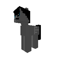 New Pony