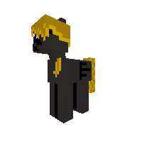 New Pony