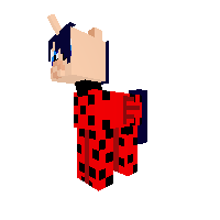 ladybug