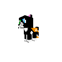 My skin (Abby the Cat)