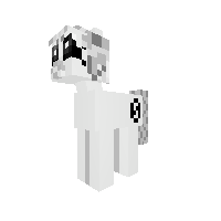 New Pony