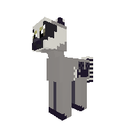 Raccoonie