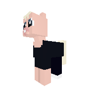 TheJMC