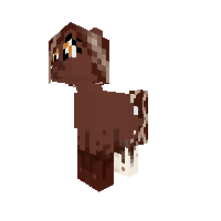 Caramel pony