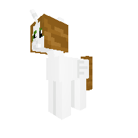 pony-person-123