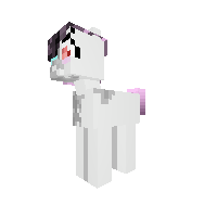 pony.