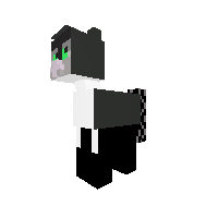 New Pony