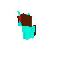 A pony