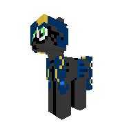 cic pony ninja