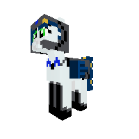nice cic pony