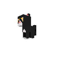 Tallstar