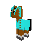 New Pony
