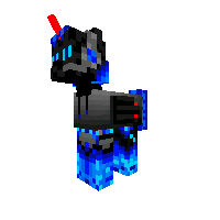 New Pony