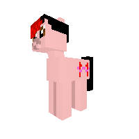 New Pony