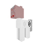 joel