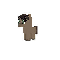 lightning chaser {foal}