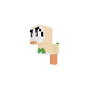 Rowlet: Pokemon Starter