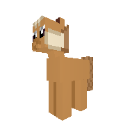 Evee