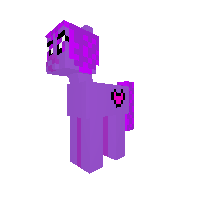 New Pony