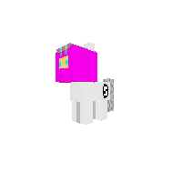 Pink pygmy puff