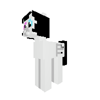 millie the pony