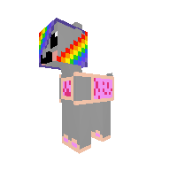 Nyan cat  pony