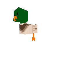 ducko